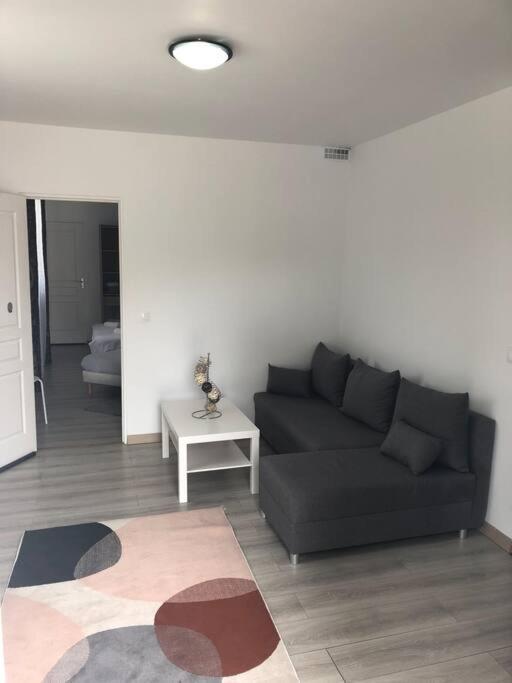 Top Appartement 10 Minutes De Disney シェシー エクステリア 写真